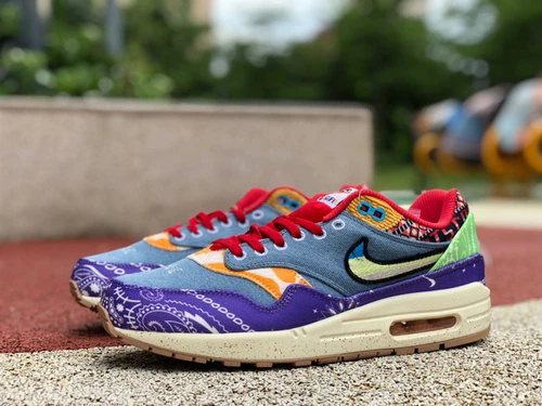 Nike Air Max 1 SP Concepts "Far Out" DN1803-500