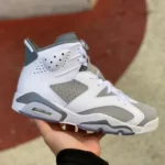 Air Jordan 6 "Cool Grey" CT8529-100
